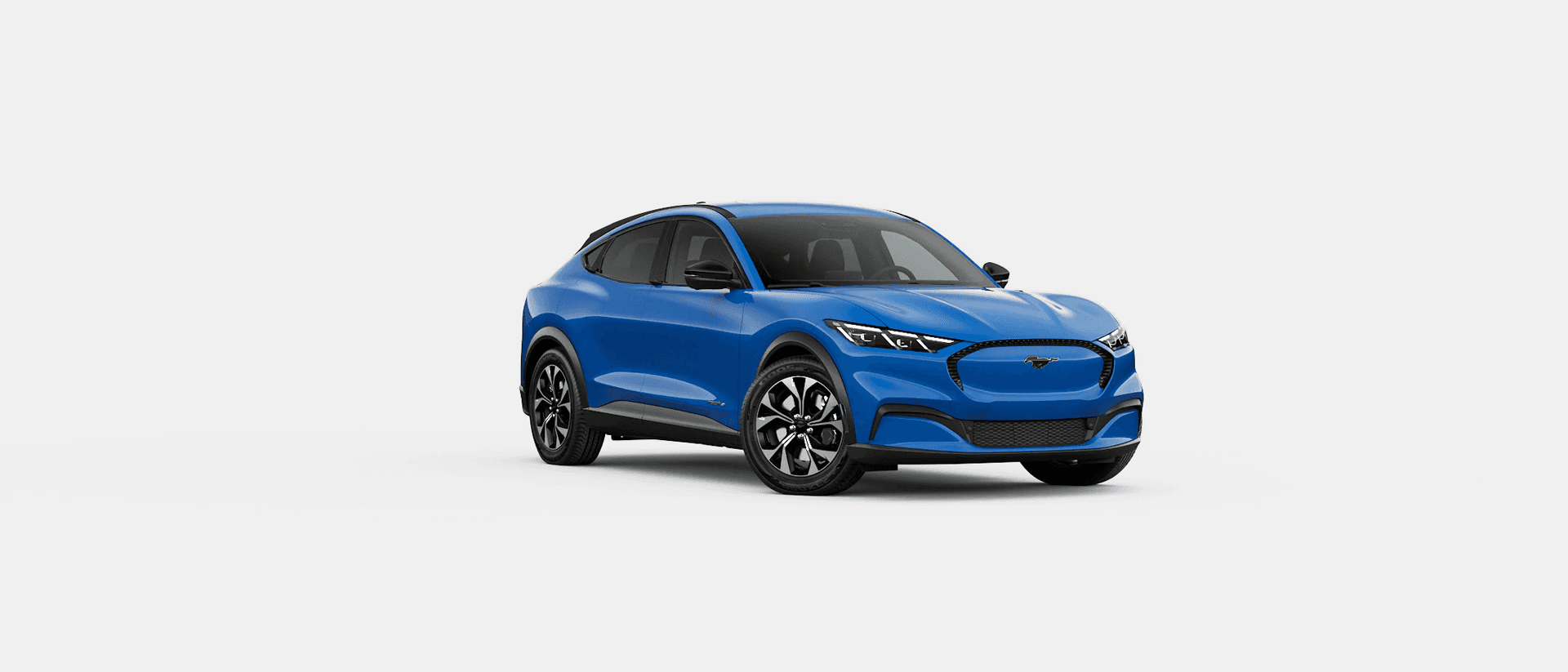 Velocity Blue