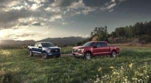 A blue and a red 2021 Ford F-150 are shown parked in a field.