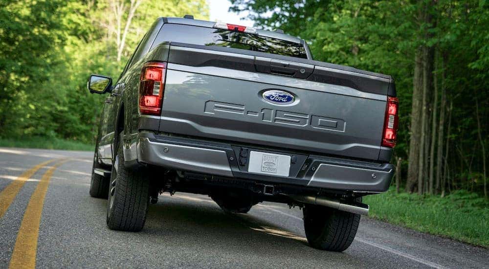 ford pickup truck side view