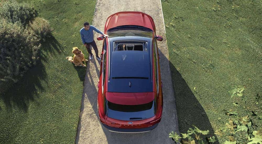 Seen from above, a man walking his dog is talking with someone in a red 2023 Ford Escape with open sunroof