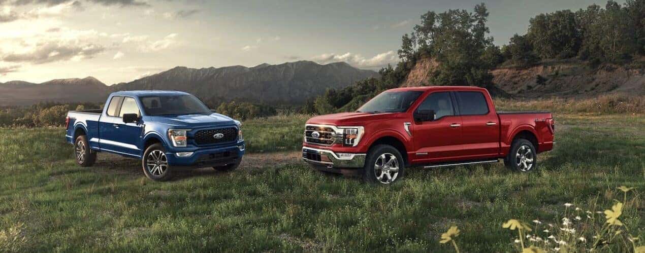 A blue and a red 2023 Ford F-150 are shown parked in an open grassy field.