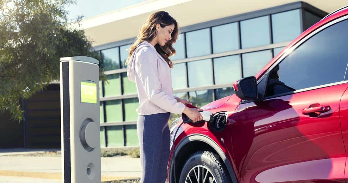 How Long Do Hybrid Car Batteries Last? Northside Ford