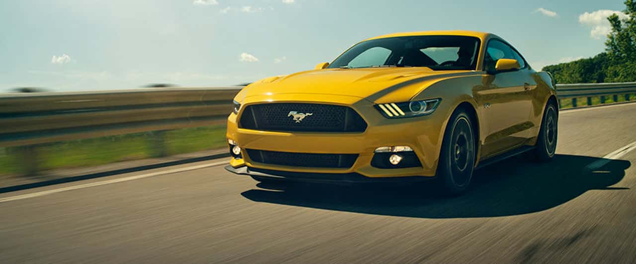 Mustang-top-2