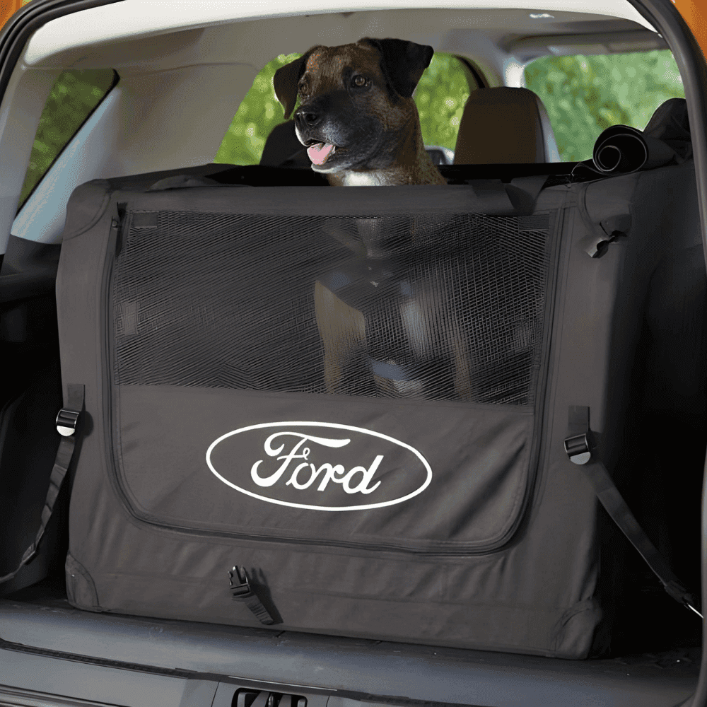 dog in mesh carrier in the back of a ford vehicle