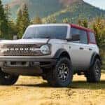 Dual Tones 2026 Ford Bronco in Grass