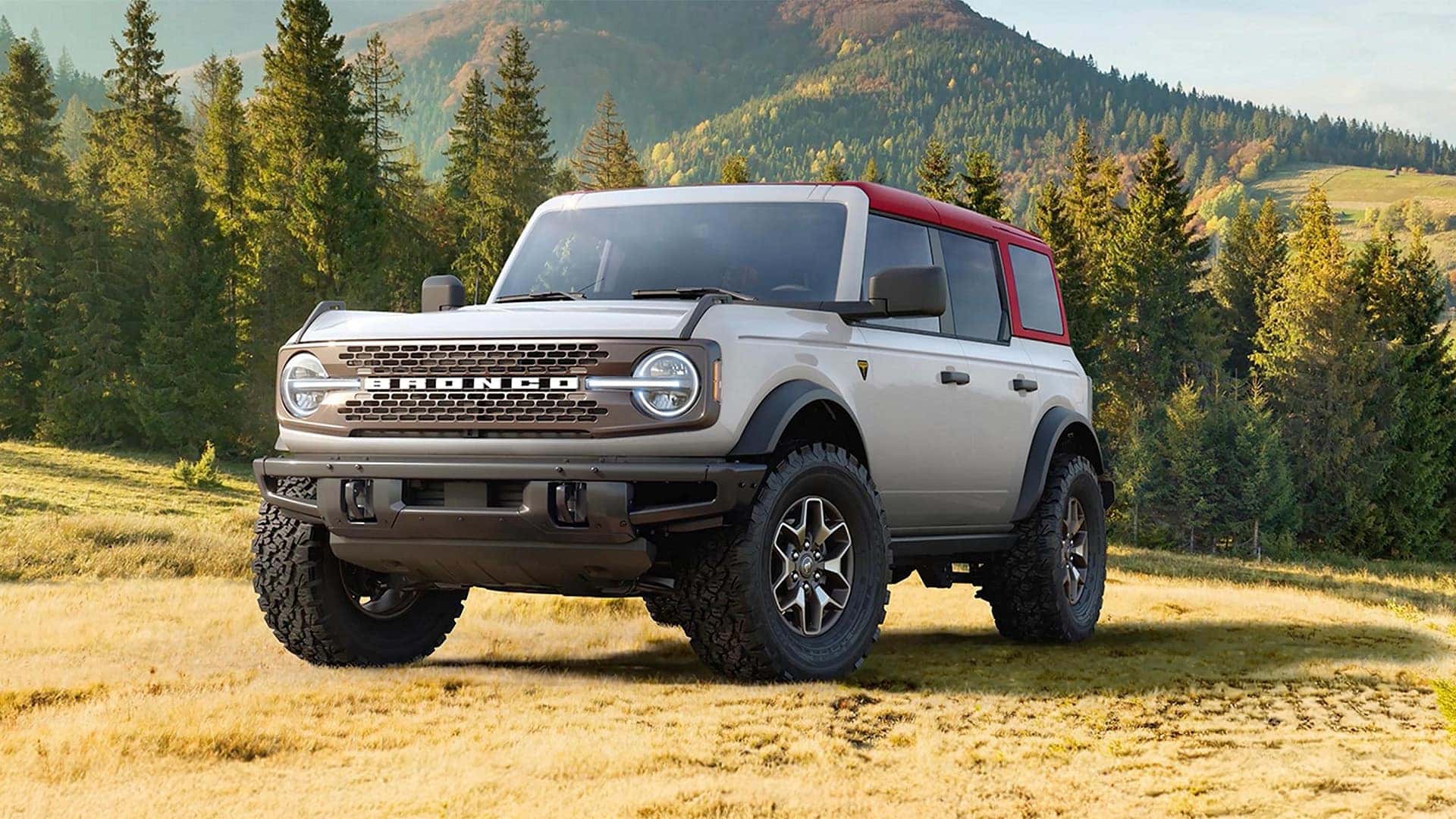 Dual Tones 2026 Ford Bronco in Grass