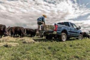 Towing Capacity