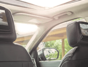 Dual-Headrest Rear Seat Entertainment System