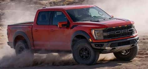 expert off-road travel