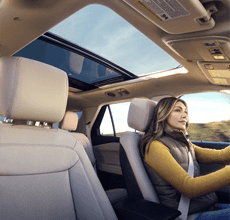 twin-panel moonroof