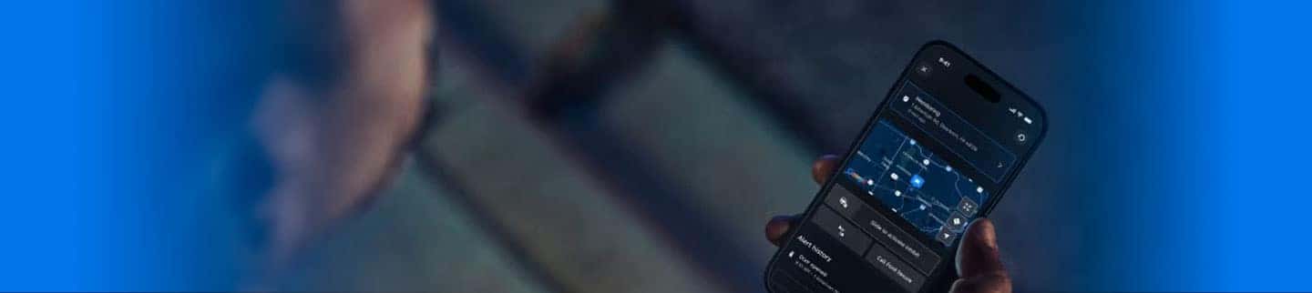 IMAGE-6
