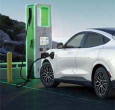 on-the-goblueovalcharge network