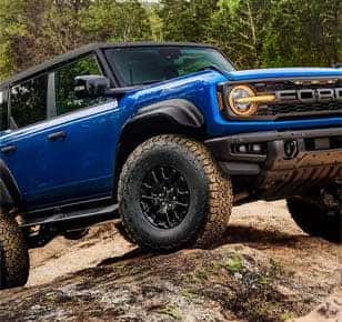 raptorblack appearance package go dark