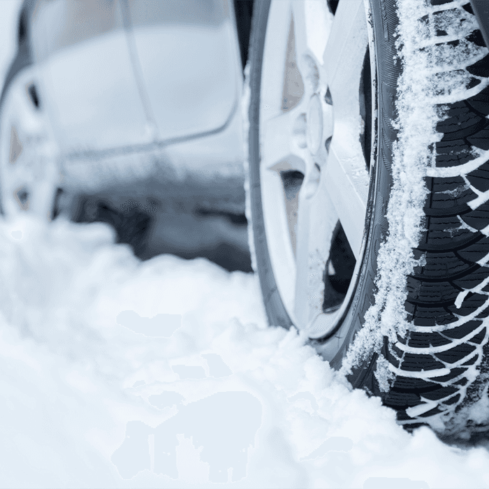 FREE Winter Check Up Inspection