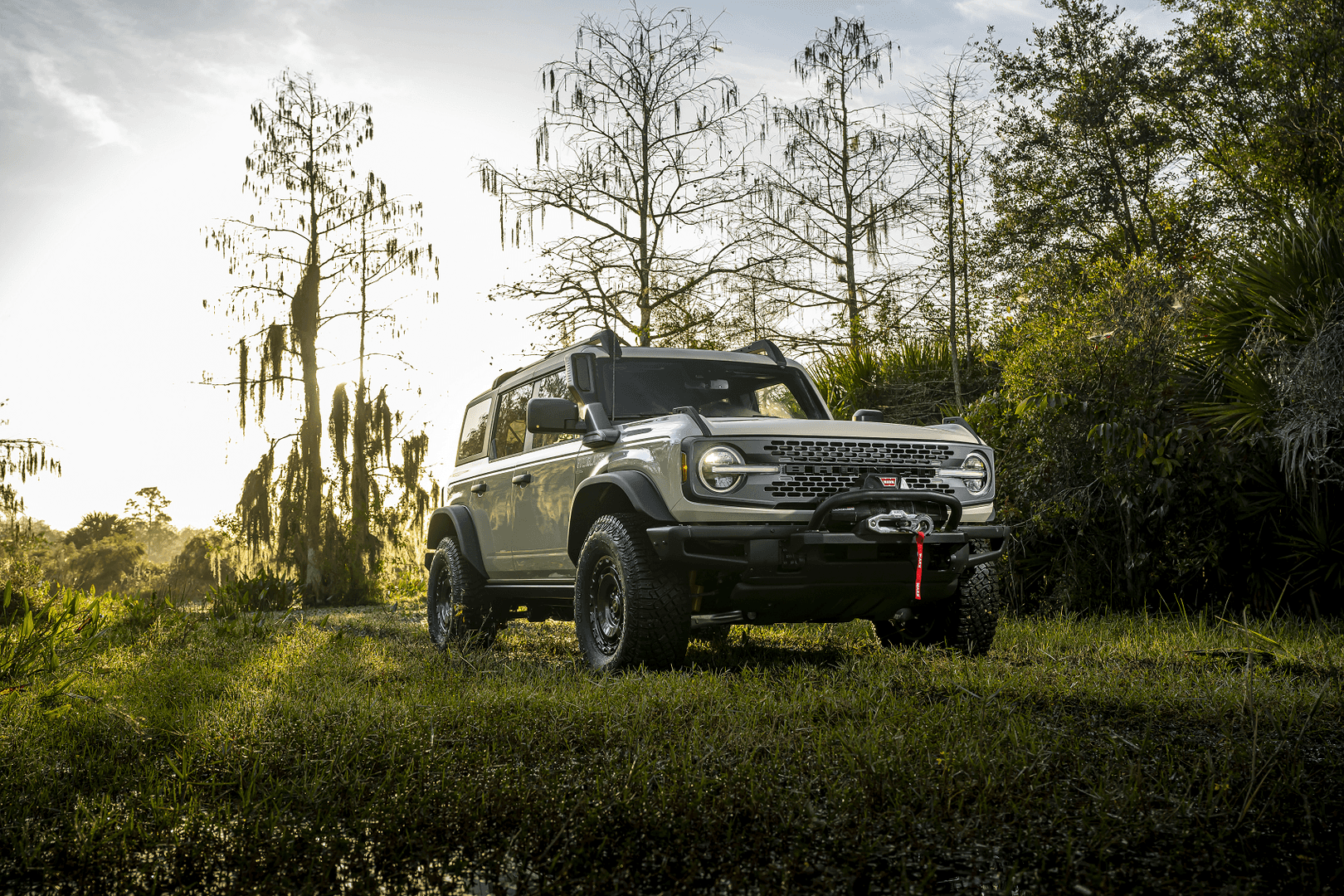 Wide Array of Used and Certified Pre-Owned Cars