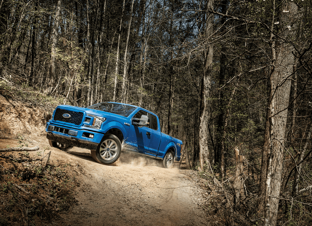 Ford F-150 for Sale
