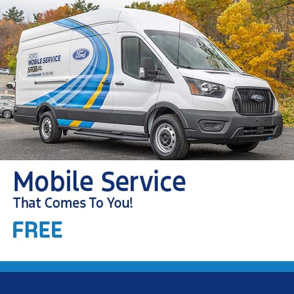 Free Mobile Service