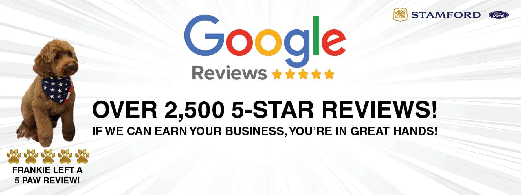 GOOGLE REVIEWS