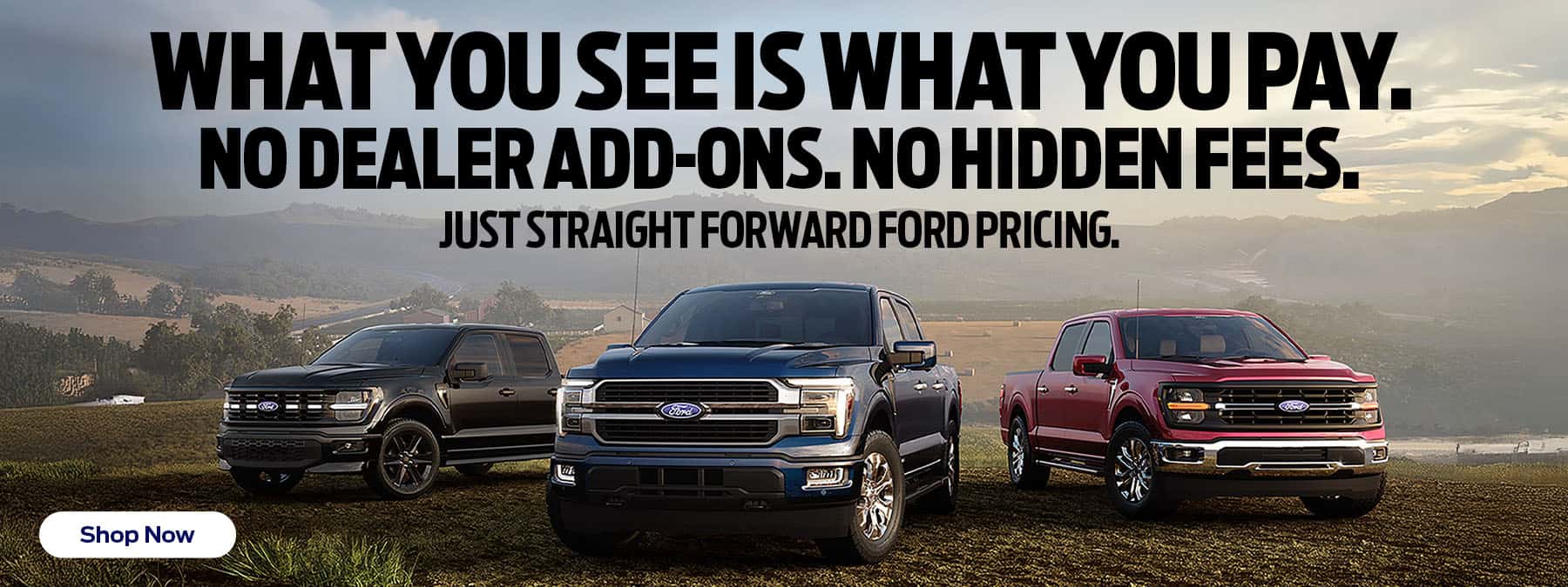 No Dealer Add-Ons
