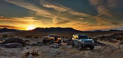 2021 Ford Bronco Wildlife Fund | Brownsville, TX