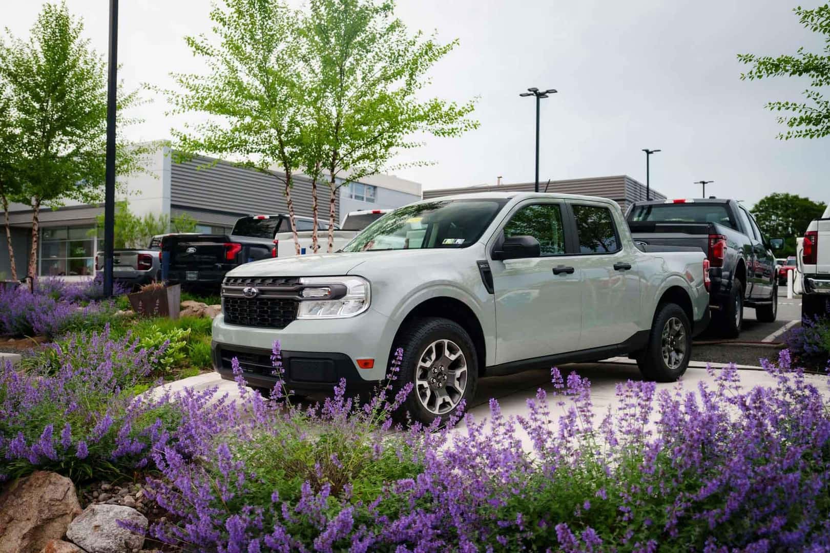 Ford truck parked near flowers
