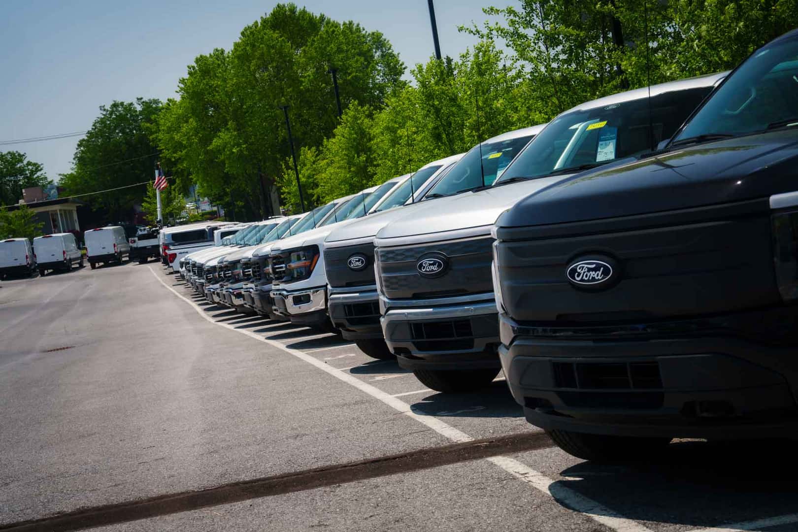 close-up of Ford F-150 trucks parked in Tom Masano Ford dealership lot