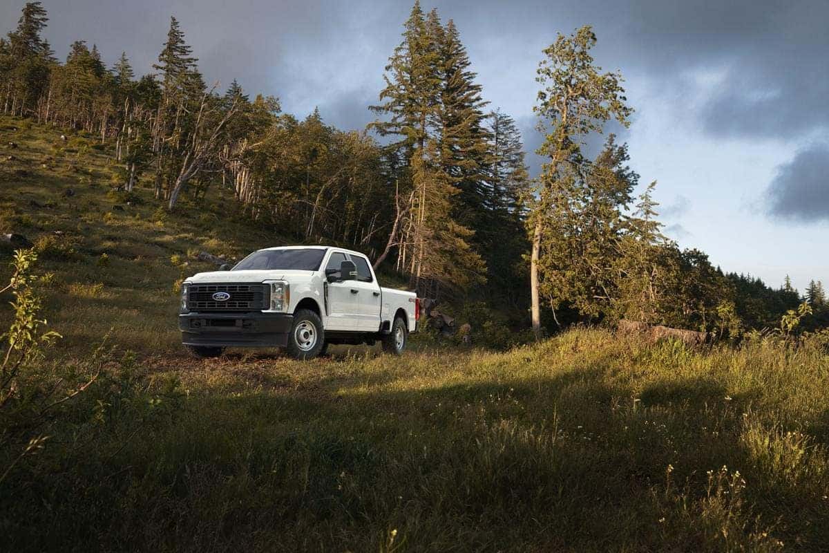 Used Ford Super Duty for sale at Tom Masano Ford in Reading, PA
