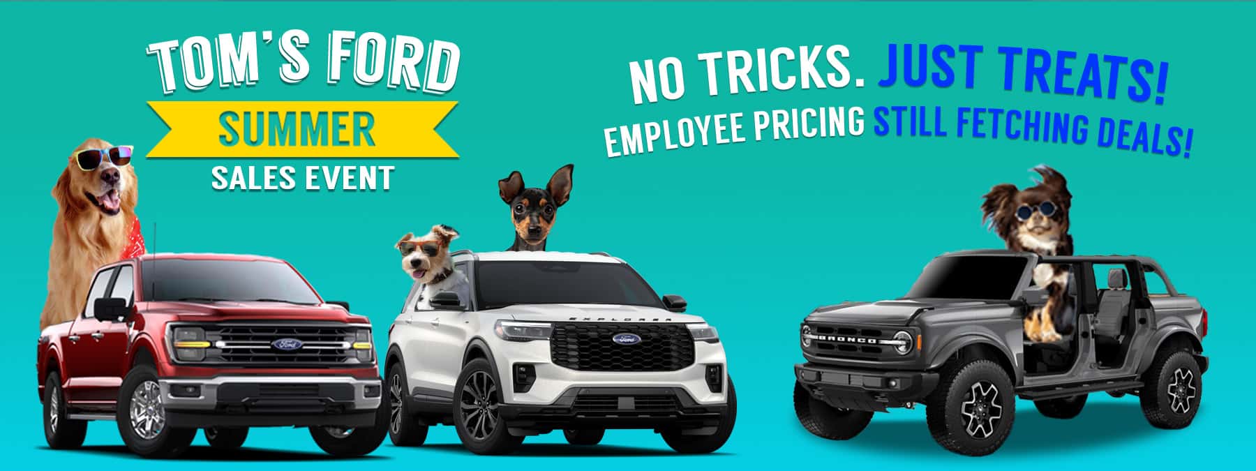 No-tricks-homepage-banner-1