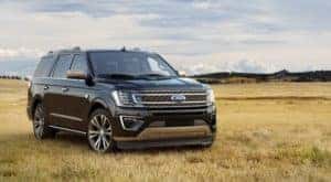 A black 2020 Ford Expedition is shown parked in a dry grassy field.