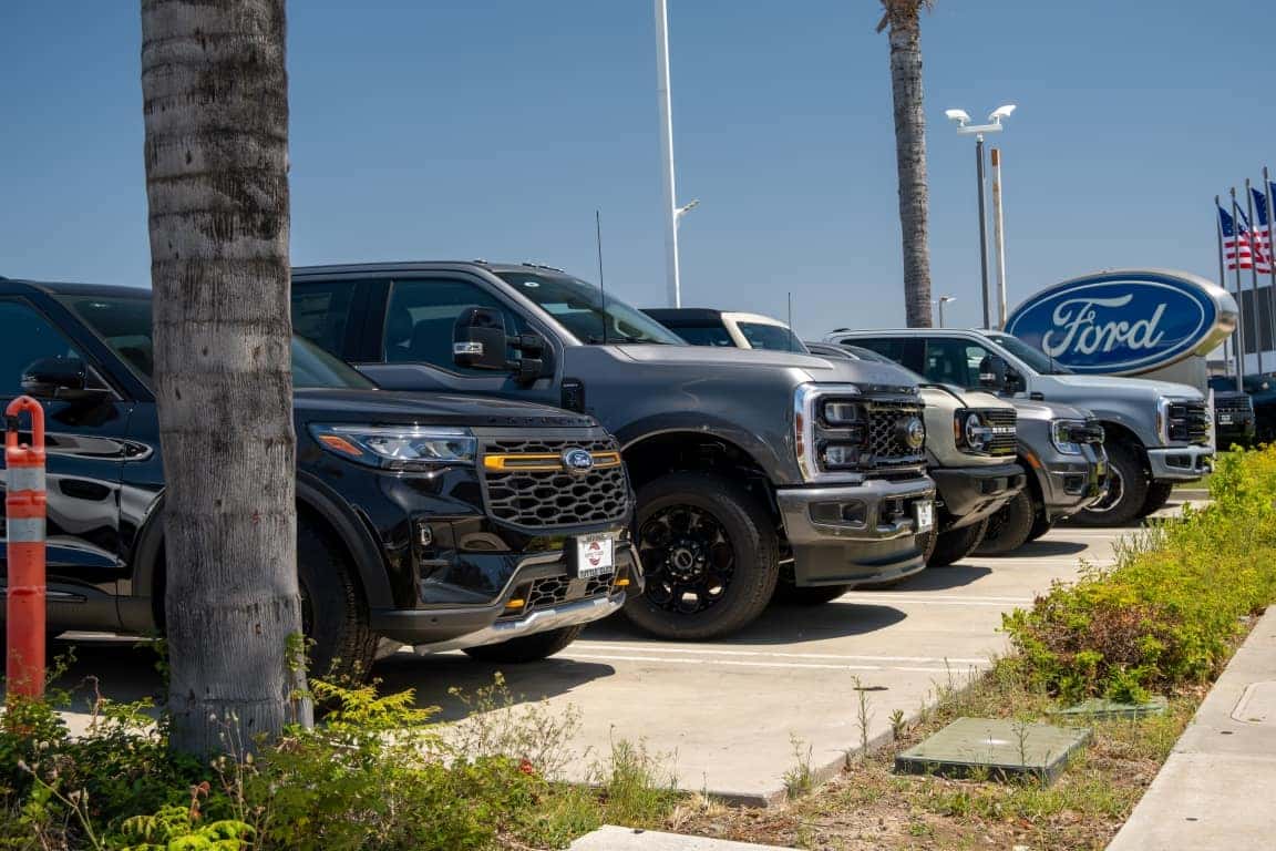 Driver reviewing vehicle financing options