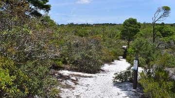 Hobe Sound National Wildlife Refuge #1