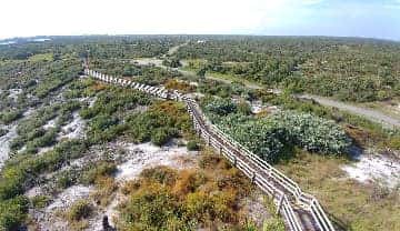 Jonathan Dickinson State Park #2
