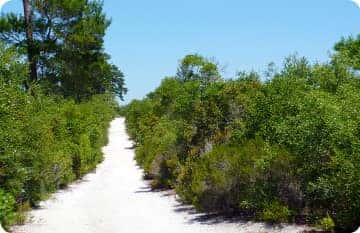 Okeelanta Wildlife Management Area #1